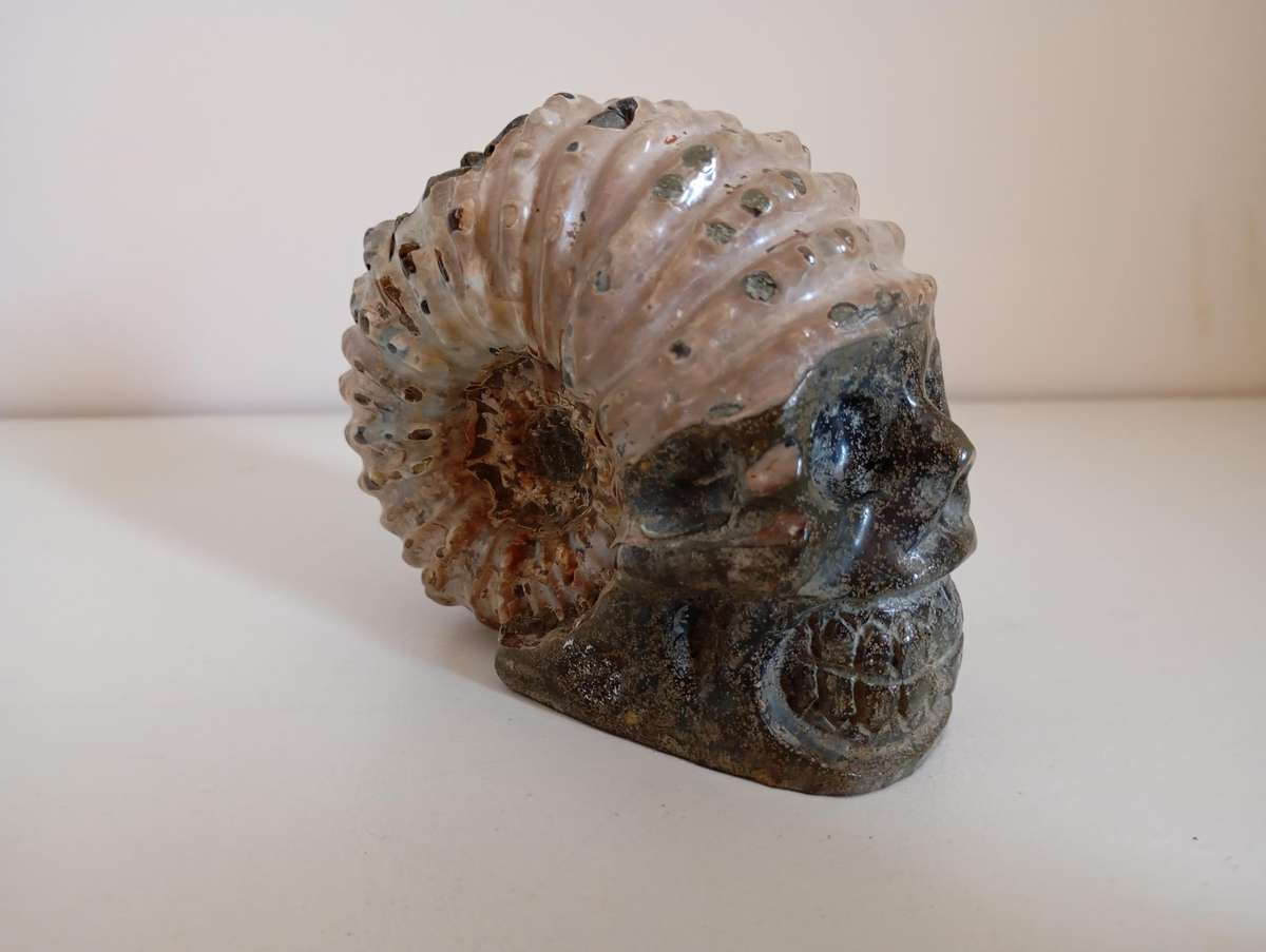 Ammonite with Skull Carving