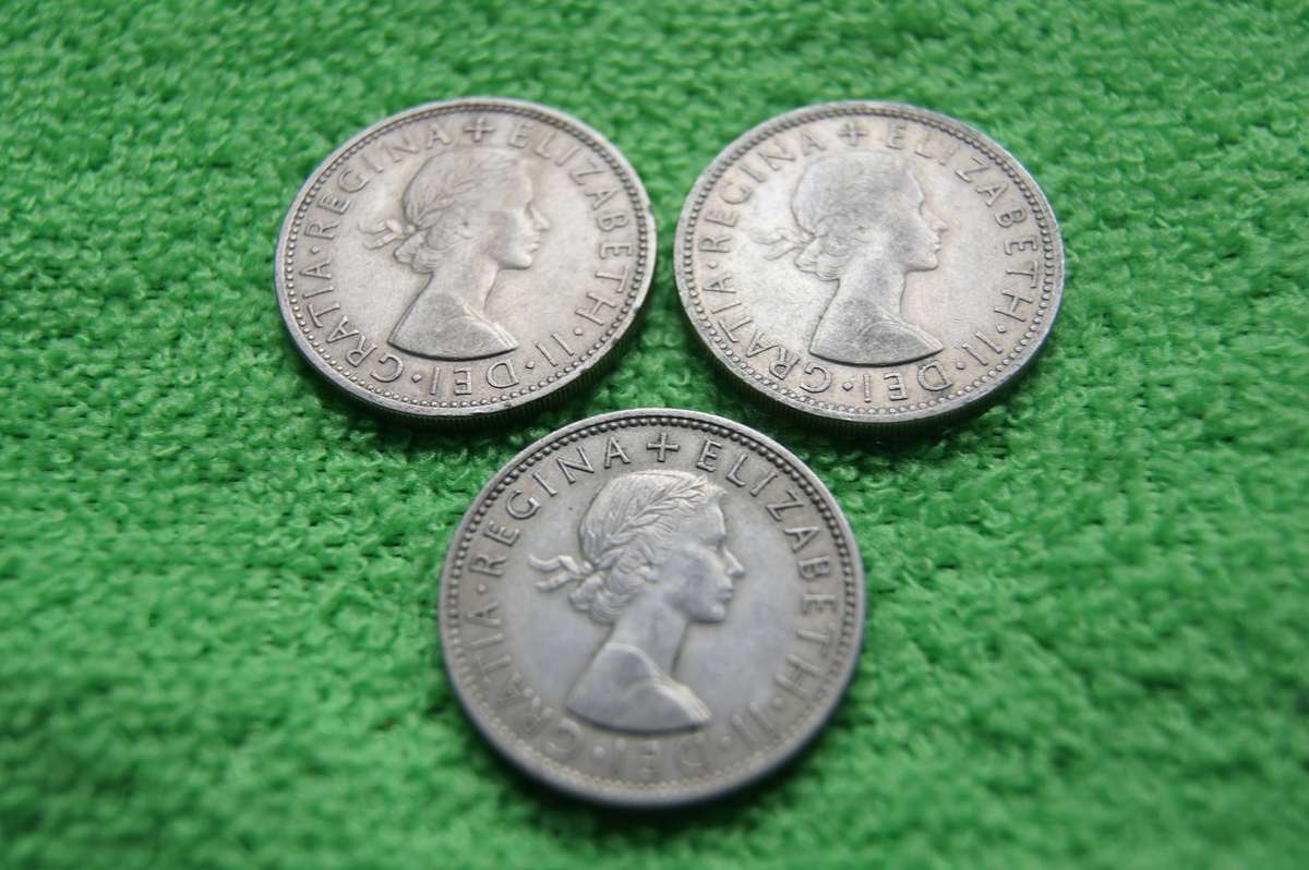 Great Britain Florin (2 Shilling) Collection - (over 65 actual grams of silver) - 14 coins