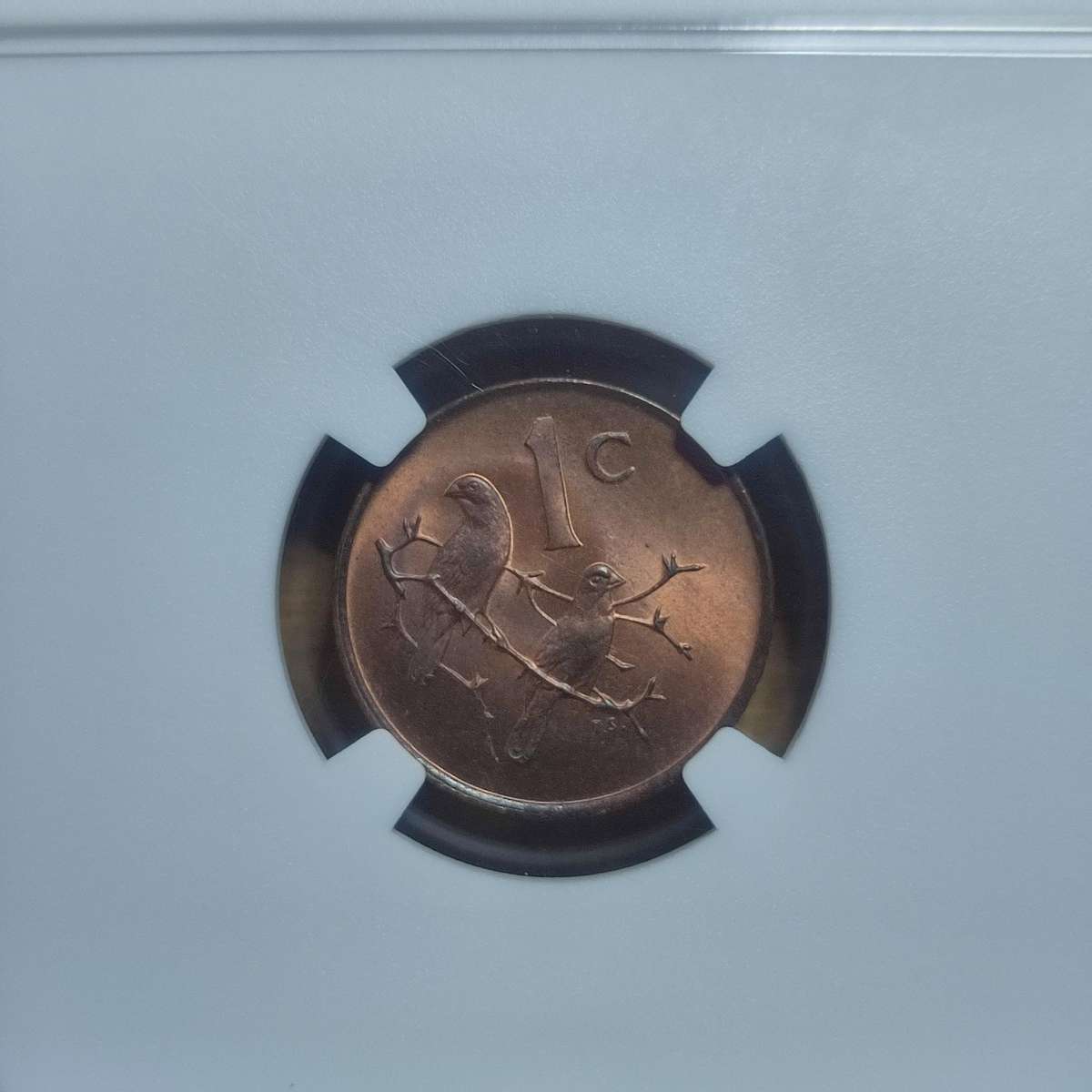 1968 South Africa 1 Cent - President Swart ENGLISH Graded (MS 65 RB)