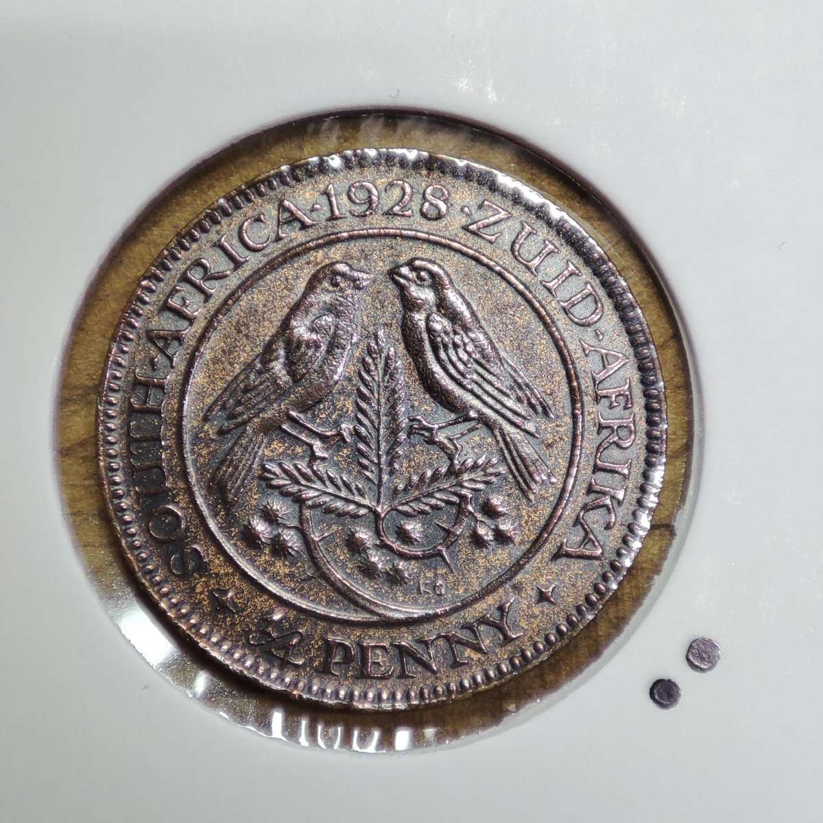 1928 Union Quarter Penny (1/4 Penny) - Rare Coin Great Condition!