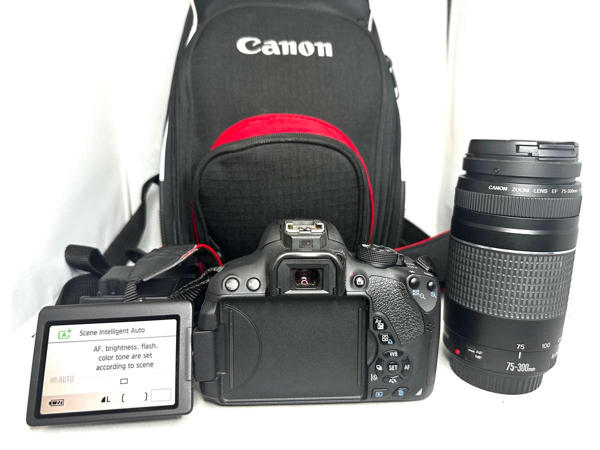 Canon EOS 700D with 2 x Lens and Accessories