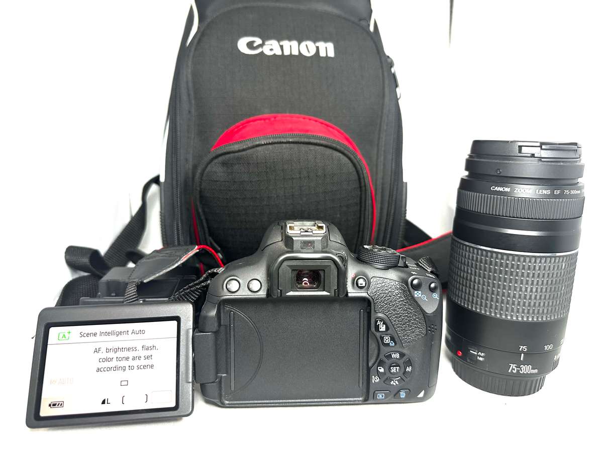 Canon EOS 700D with 2 x Lens and Accessories