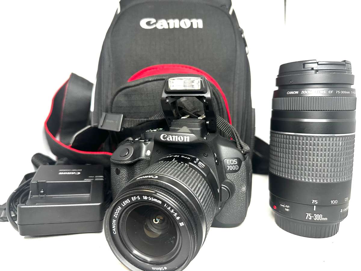 Canon EOS 700D with 2 x Lens and Accessories