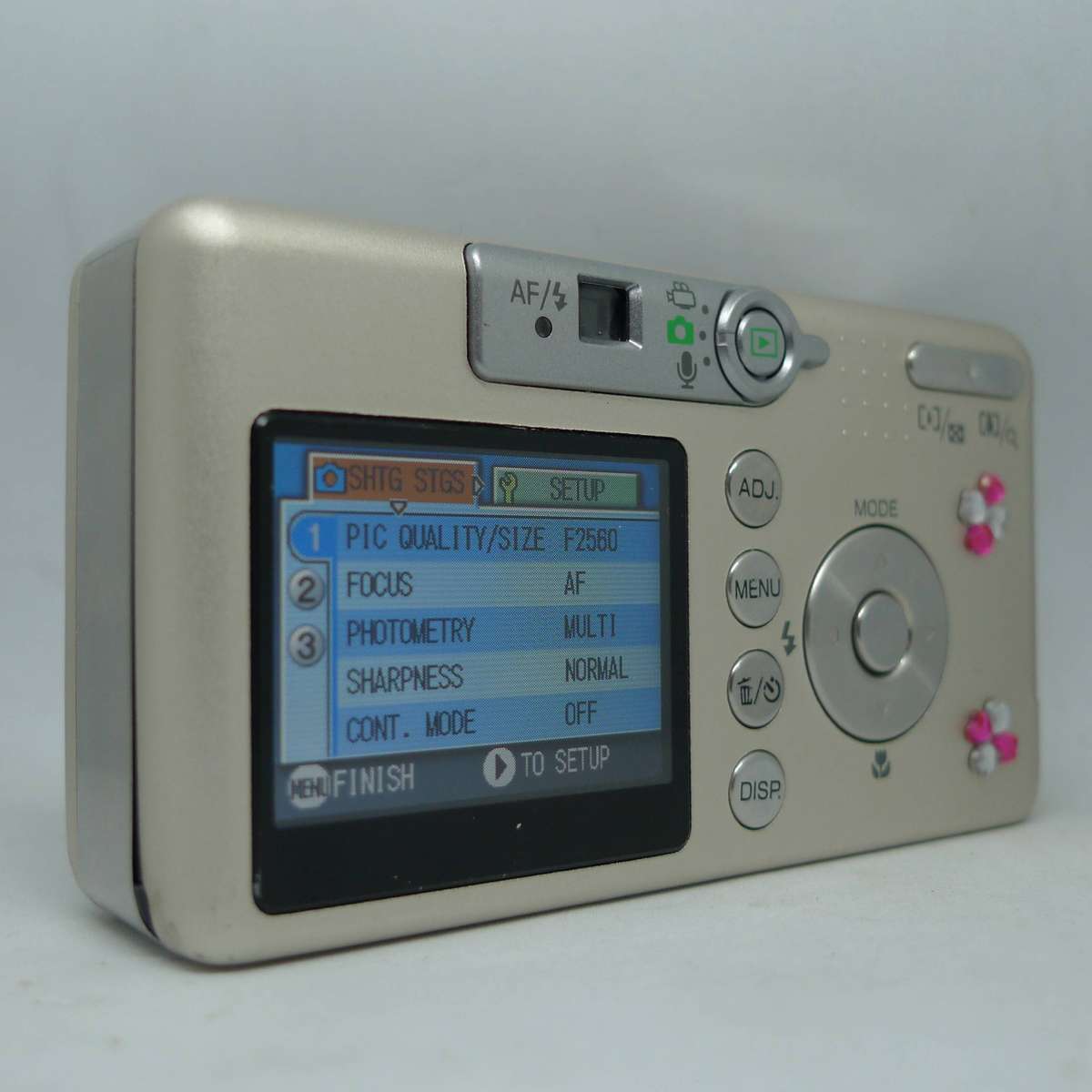 Ricoh Caplio R1v - 5.0 Megapixels - 4.8x Optical Zoom