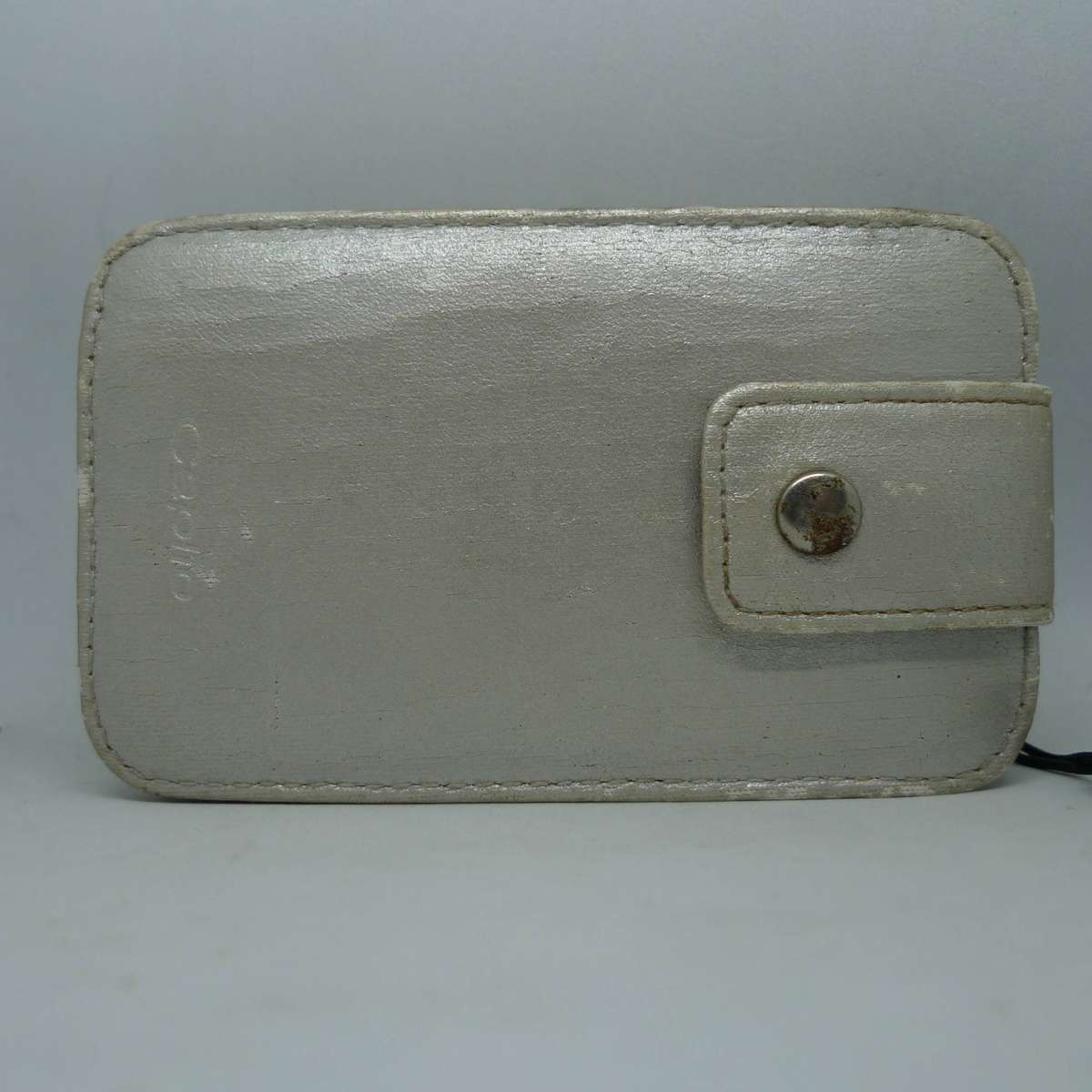 Ricoh Caplio R1v - 5.0 Megapixels - 4.8x Optical Zoom