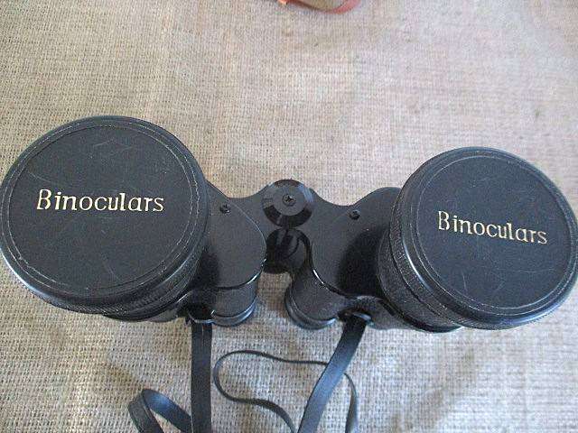 Very Nice Vintage Apollo Superb 10 X 50 Field 5' Binocular With End Cups          Japan