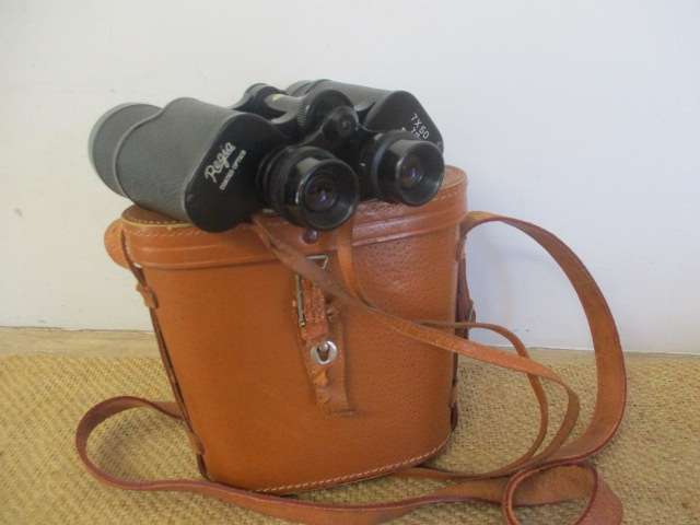 Stunning Vintage Regia 7 X 50 7.1' Binocular In Original Case