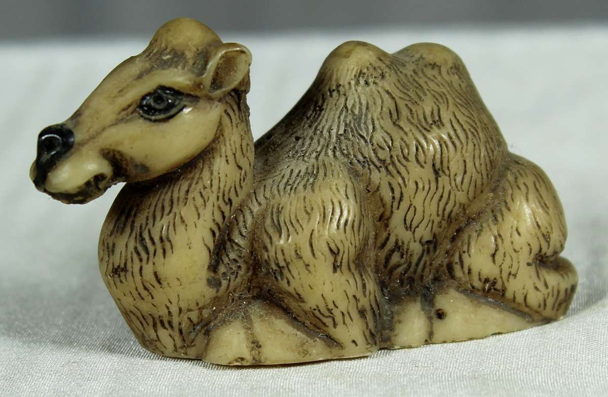 Miniature camel