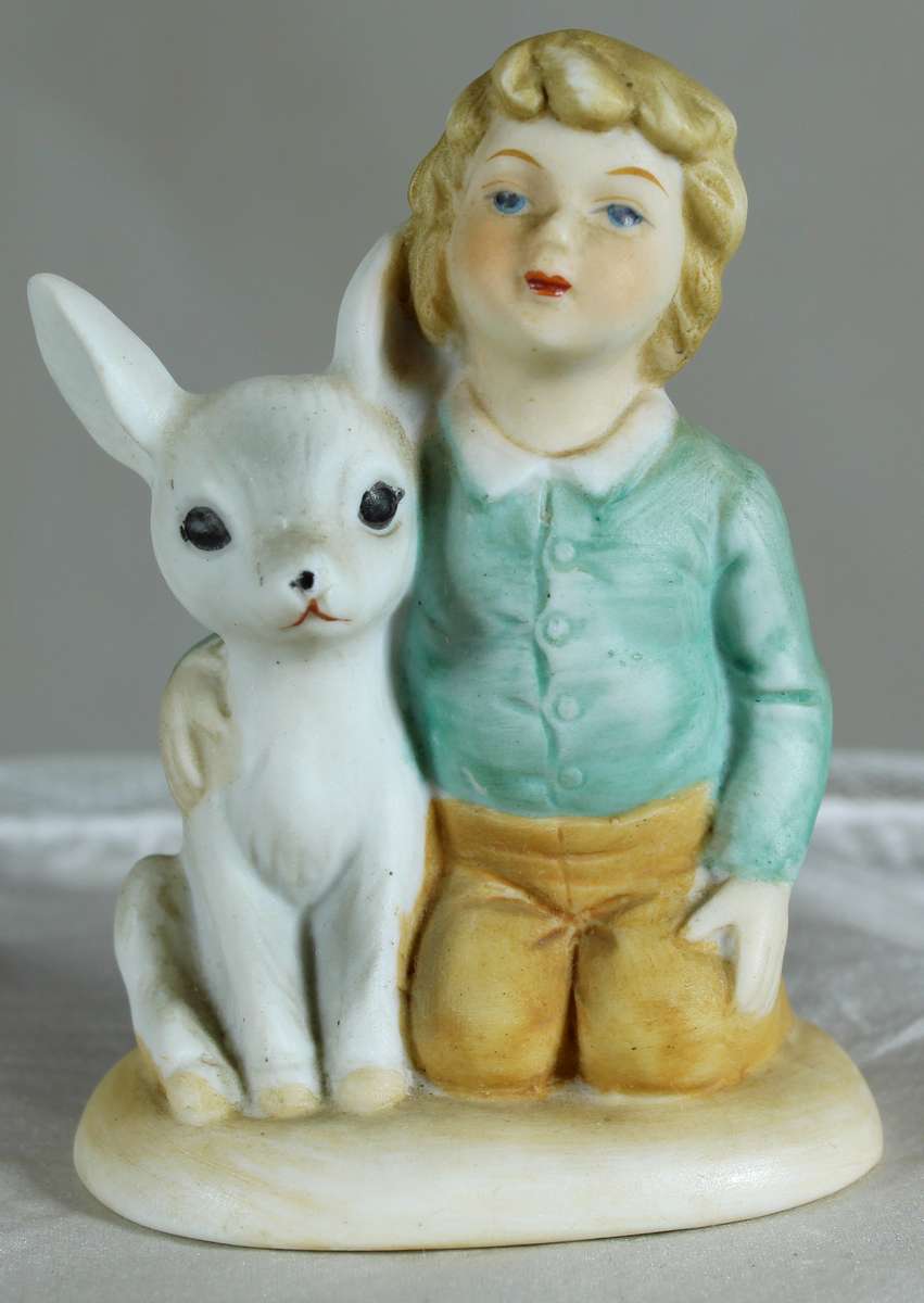 Little boy with fowl