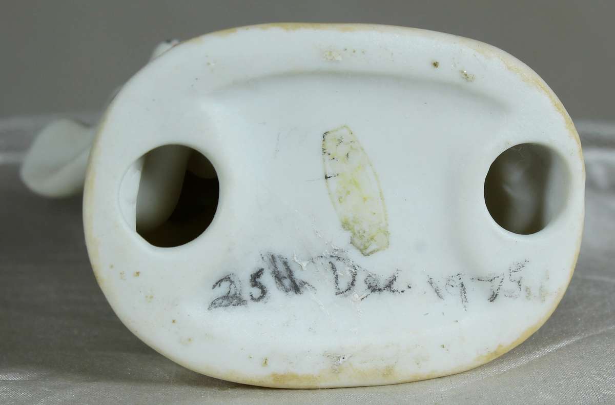 Little boy with fowl