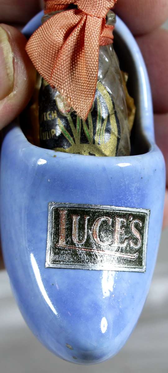 Luce's shoe with Dutch tulip perfume