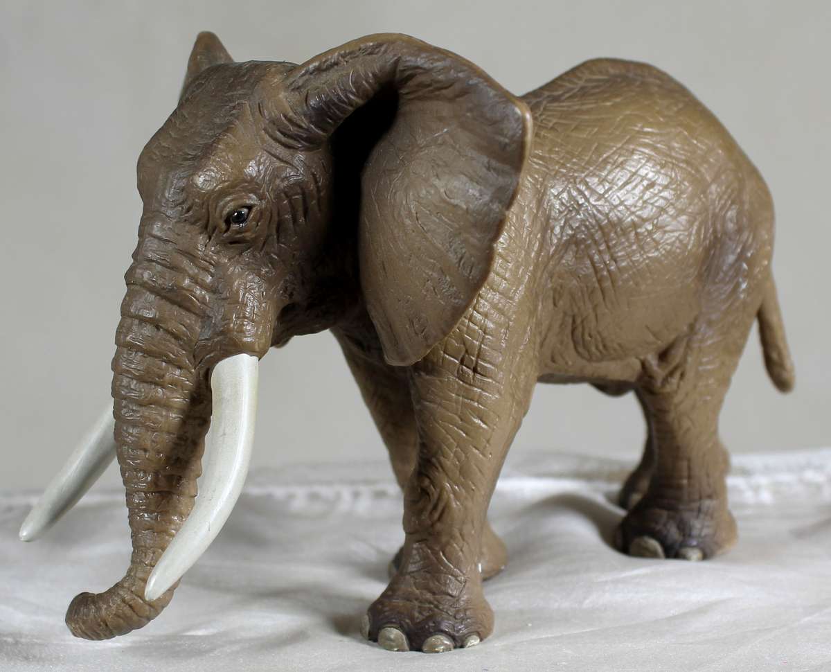 Elephant Schleigh - Germany