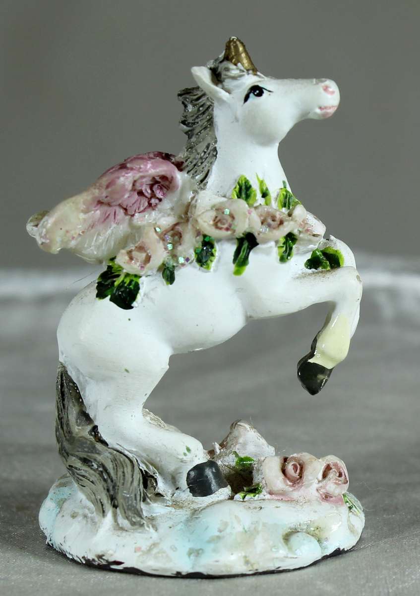 Miniature Pegasus