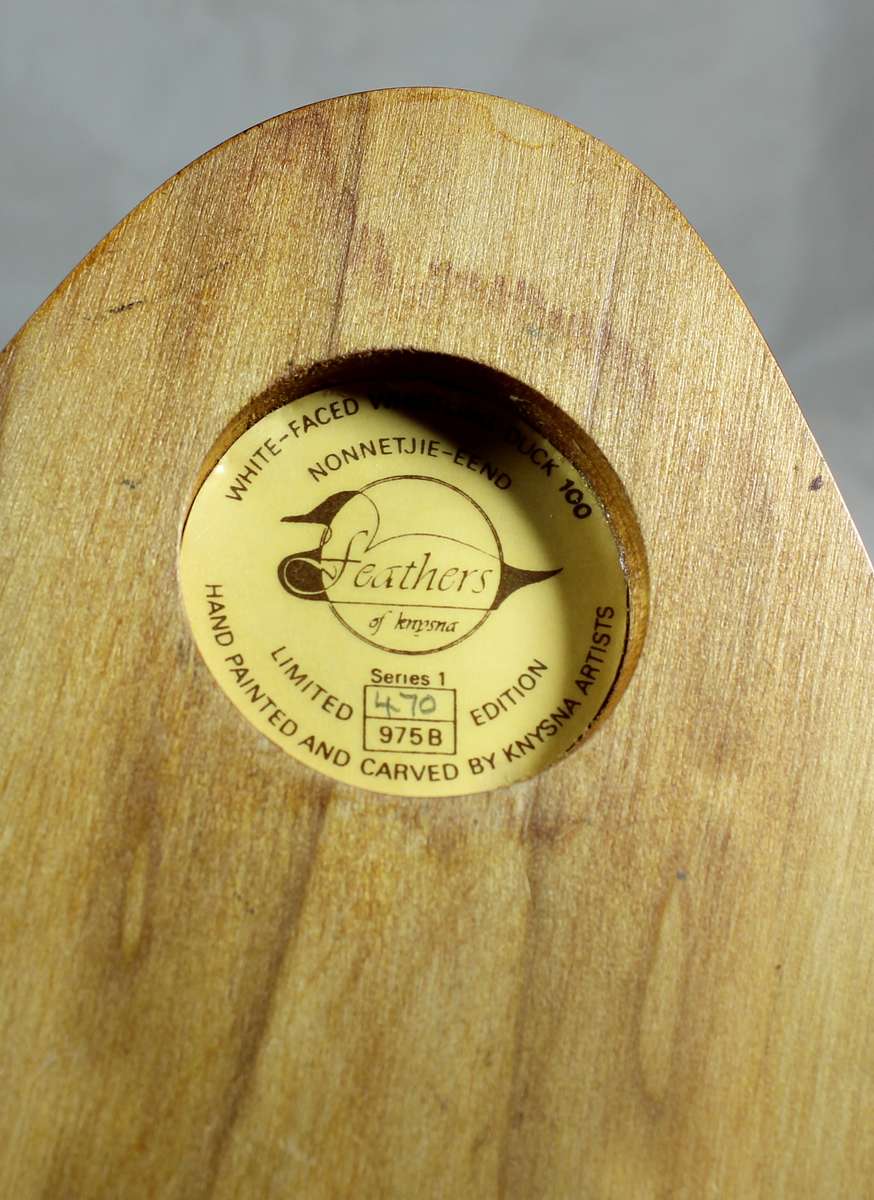 Feathers Gallery - limited edition - Whistling duck (nonnetjie eend)