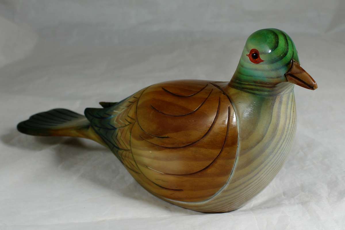 Birds of Africa collection - Diederik cuckoo