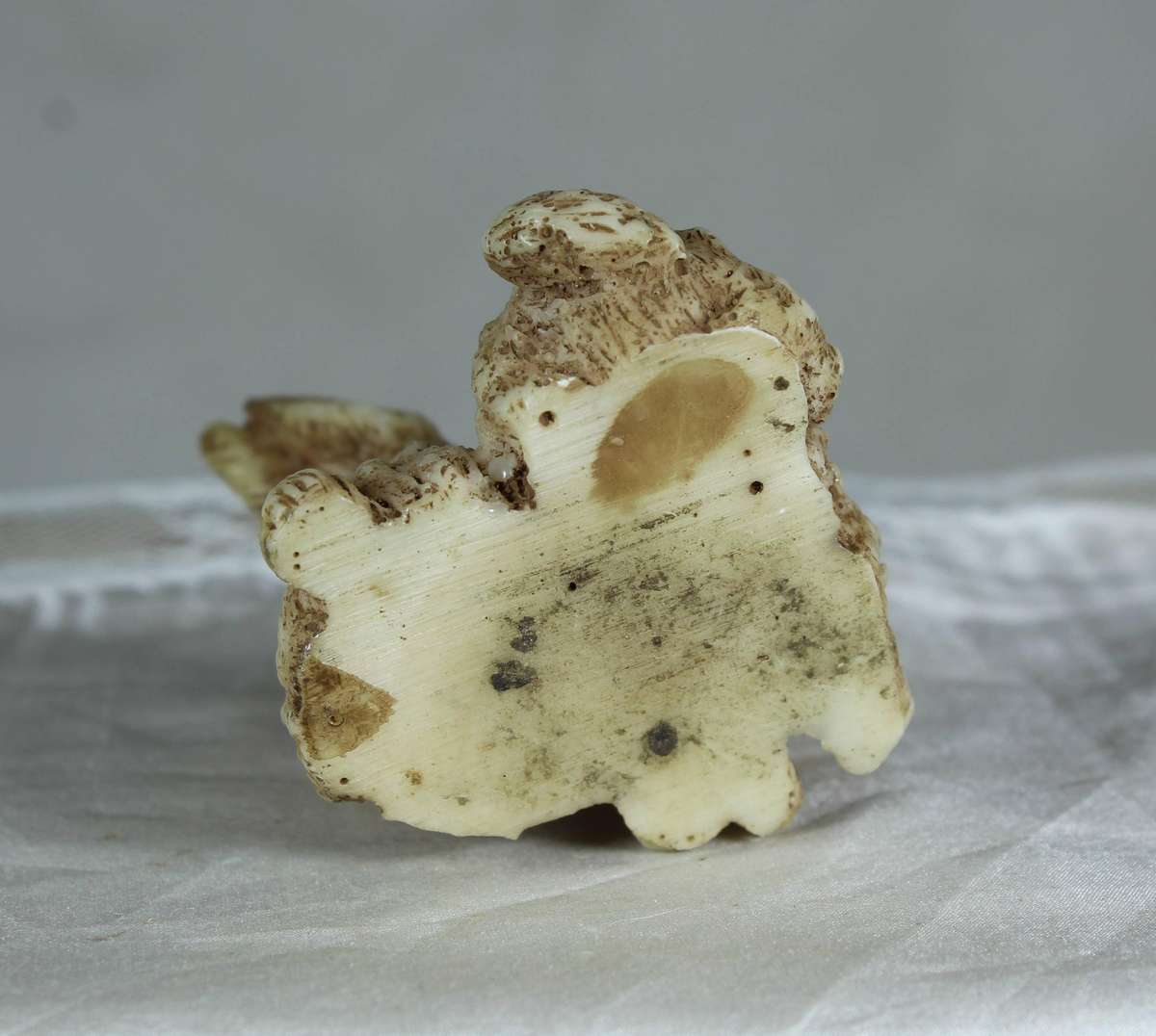 Small pair of bunnies