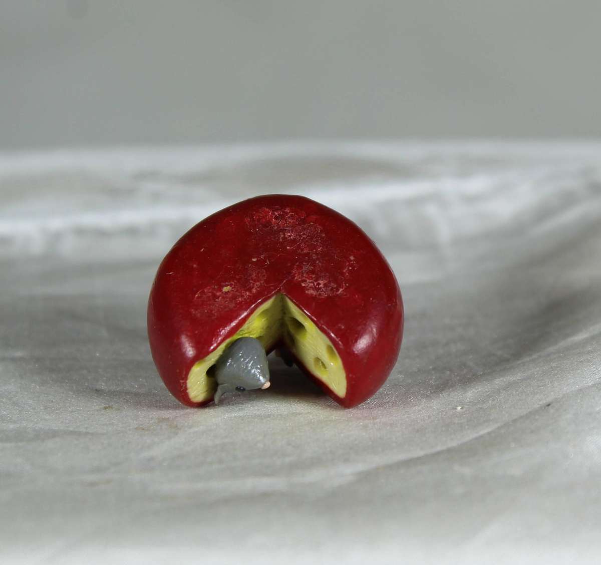 Mini miniature mice in a roll of cheese