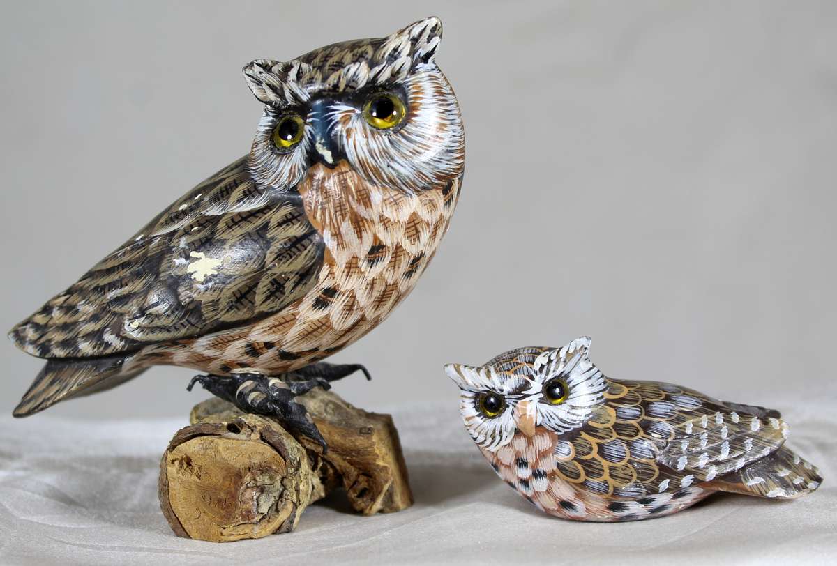 Pair of owls