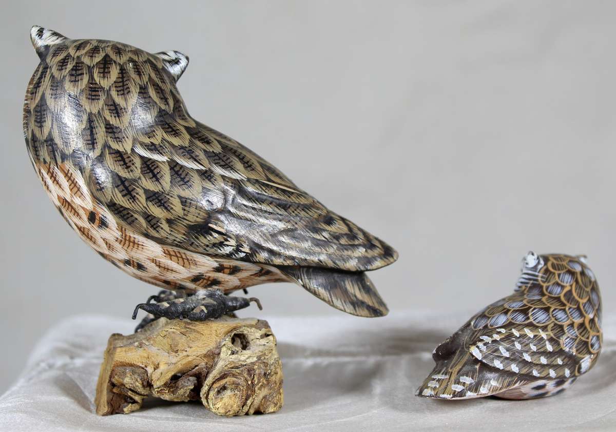 Pair of owls