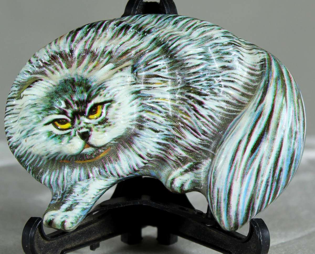 Angry cat fridge magnet