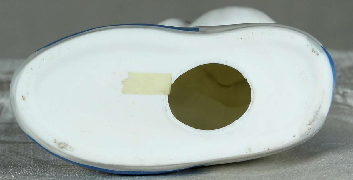 Small mouse in a shoe