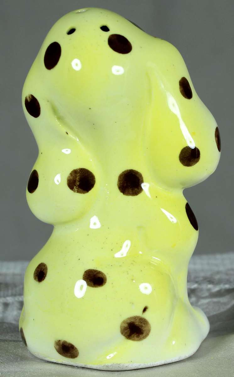 Small puppy, yellow with spots