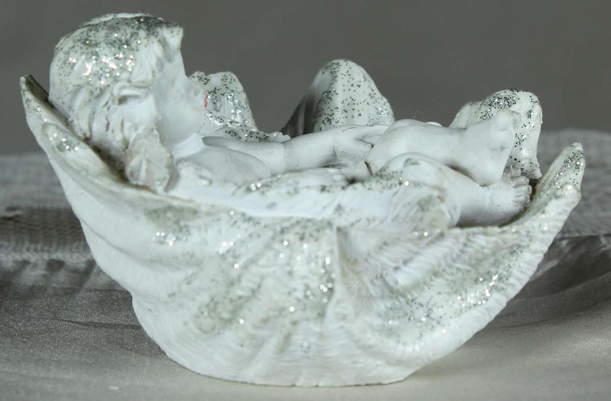 Little boy/angel laying in a large shell