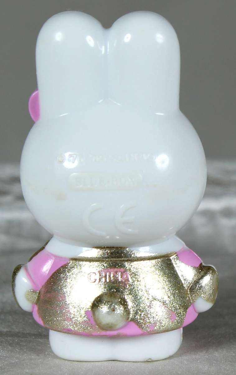 Miniature bunny with pink dress