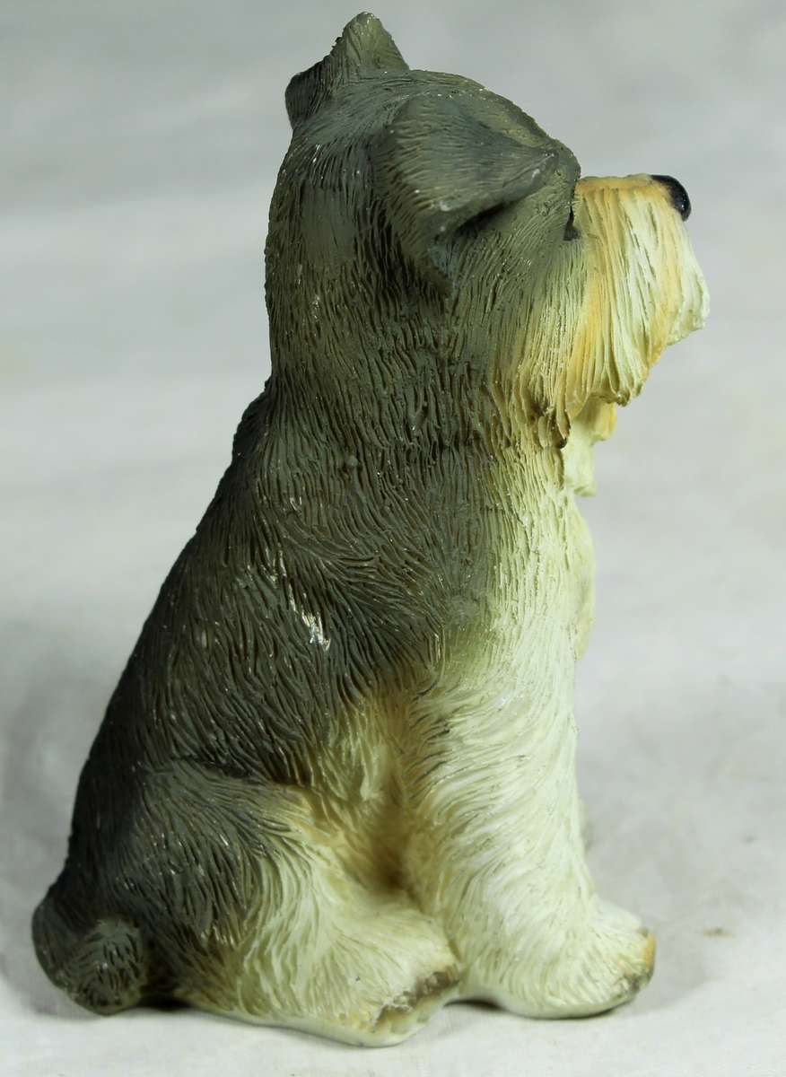Schnauzer small molded dog