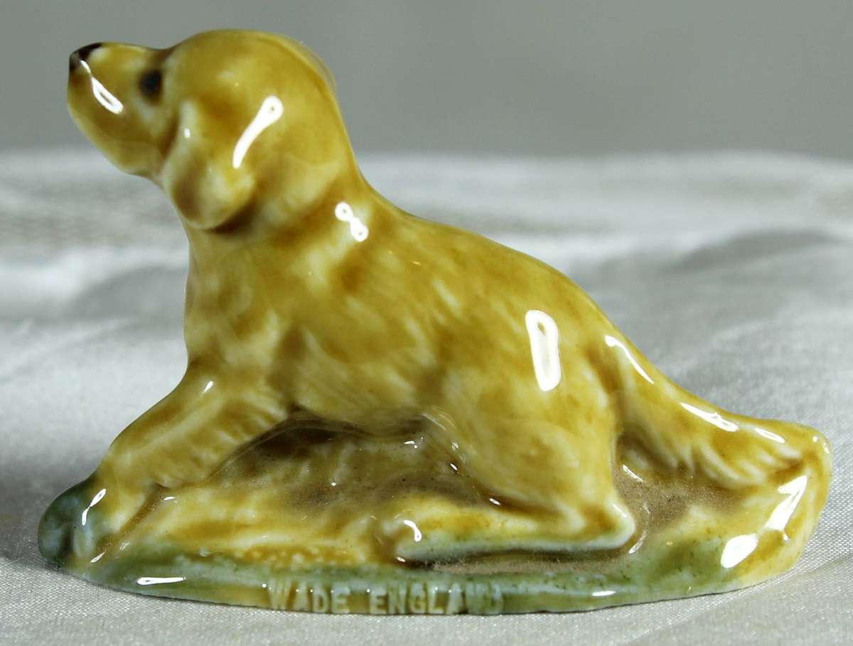 Wade Whimsie - Labrador puppy