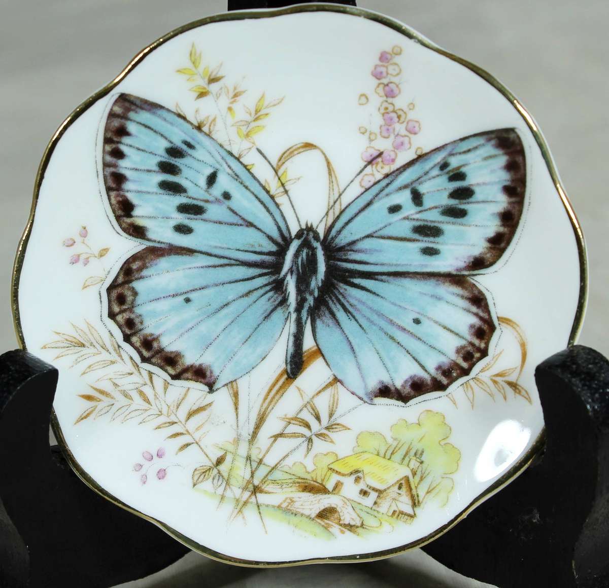 Small display plate - Fine bone China - Blue butterfly