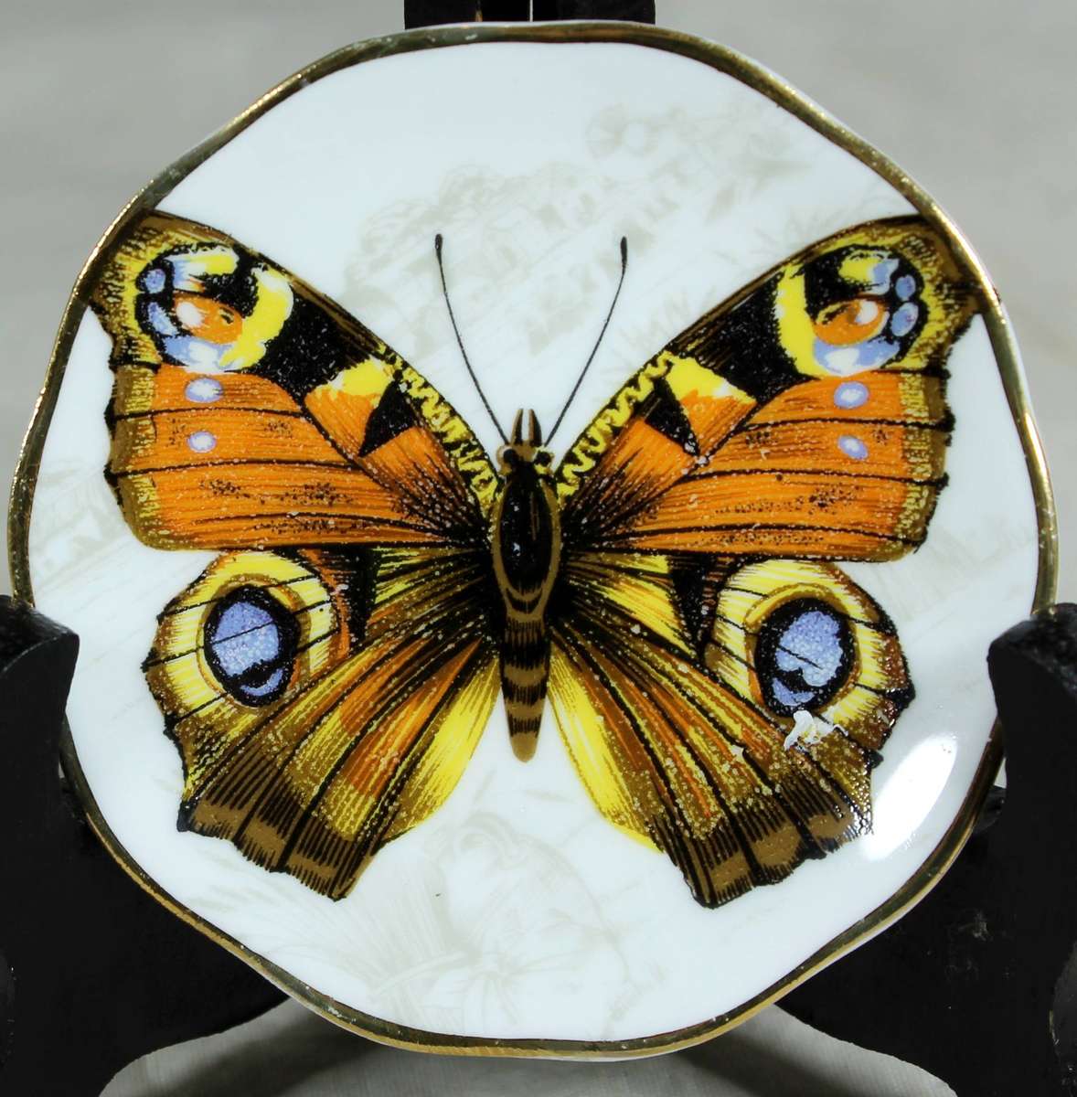 Small display plate - Fine bone China - Peacock butterfly