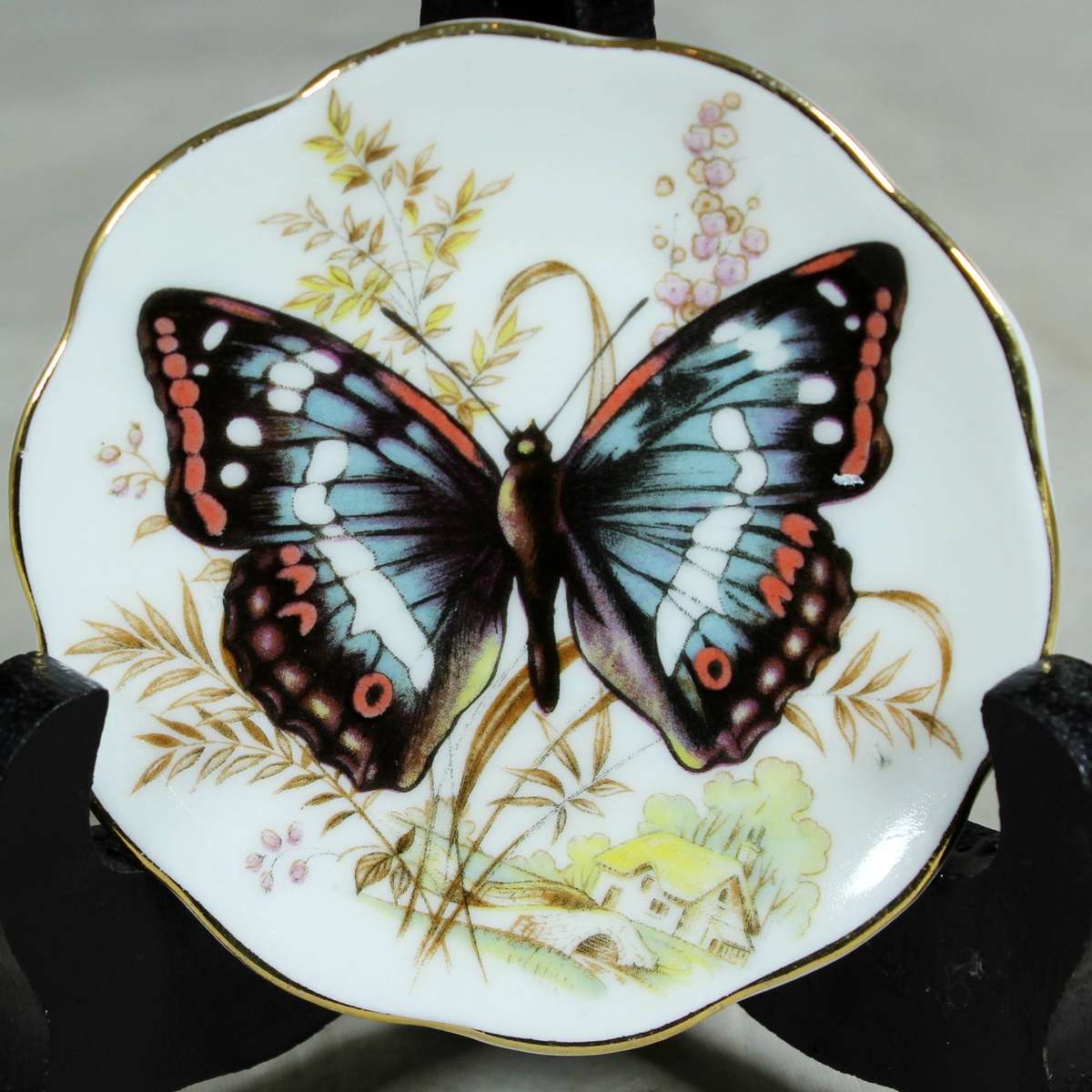 Small display plate - Fine bone China - Freyers purple emperor butterfly