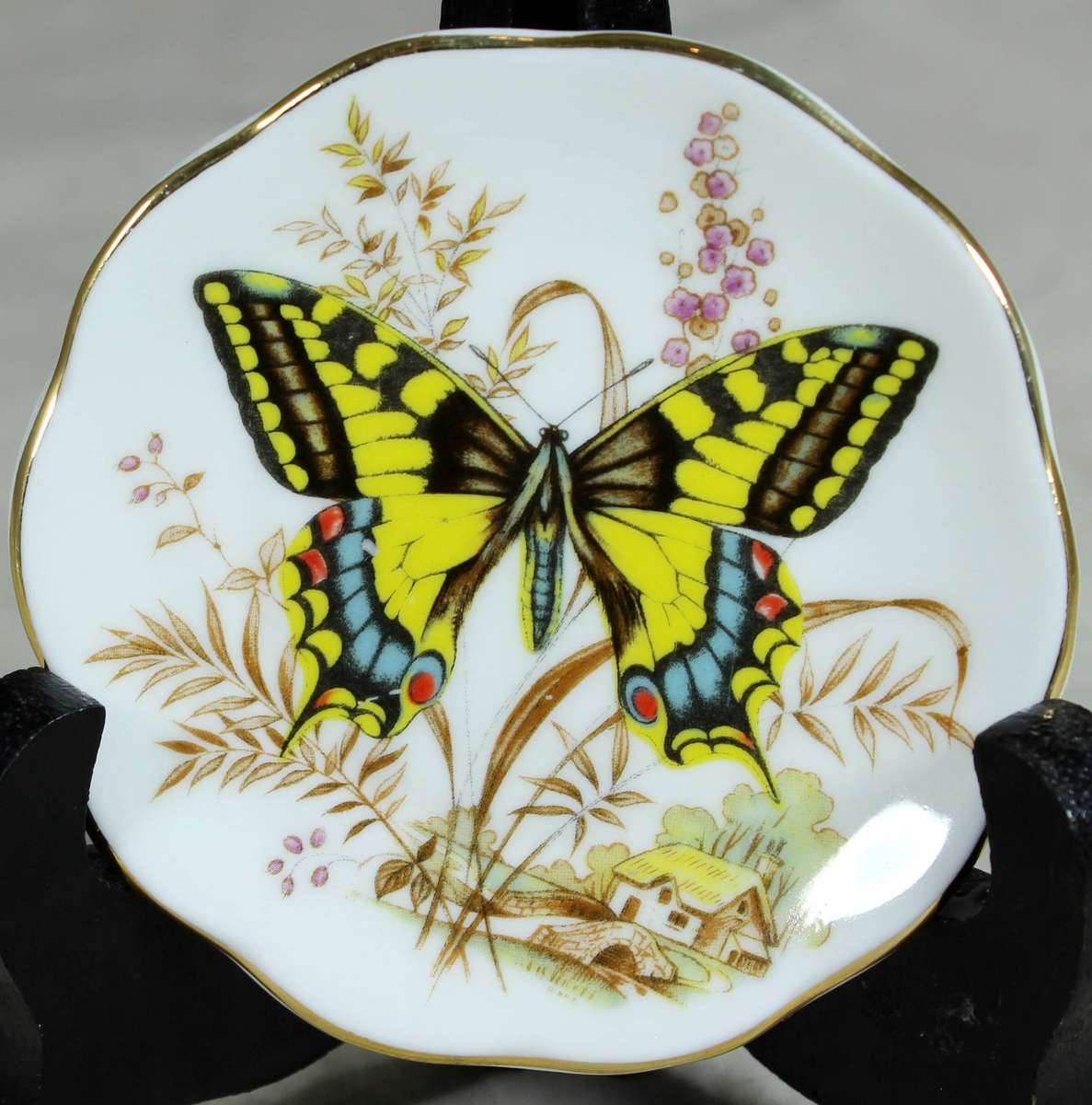 Small display plate - Fine bone China - Papilio mechon Butterfly