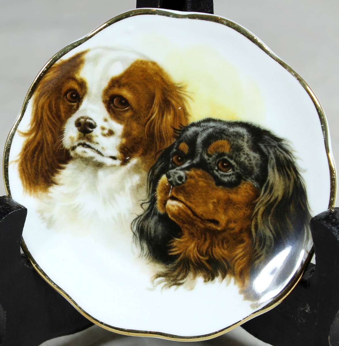 Small display plate - Fine bone China - King Charles spaniels