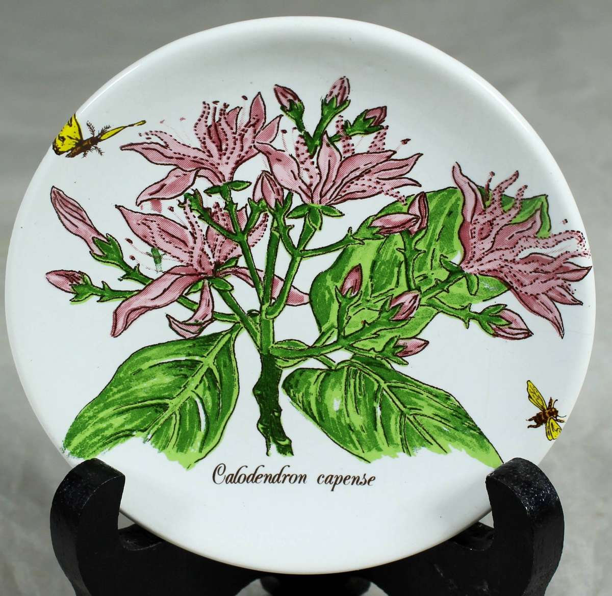 Taurus Ceramics - Small display plate - Africa flora