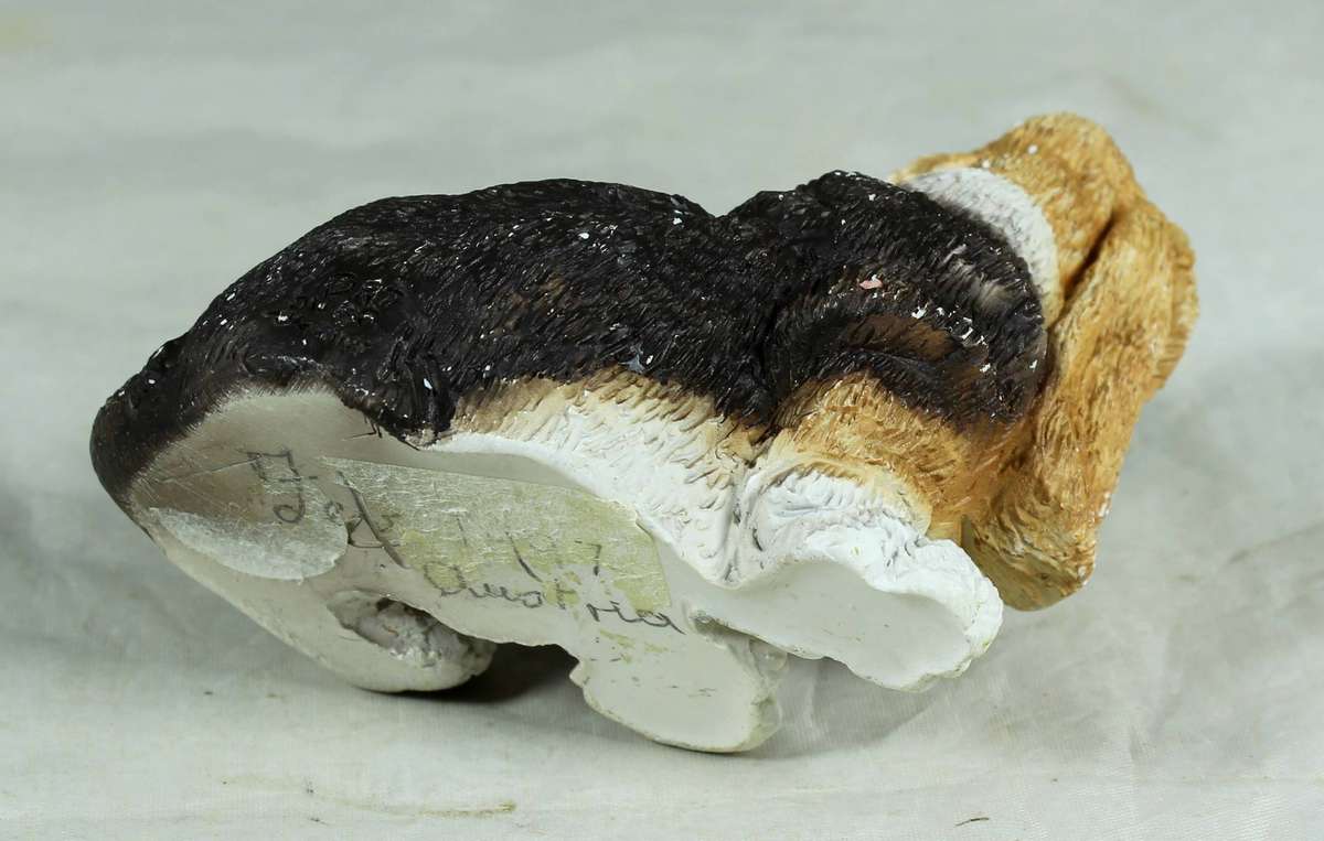 Molded basset hound figurine