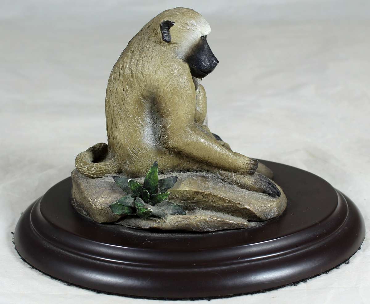 Feathers of Knysna - Baboon with baby