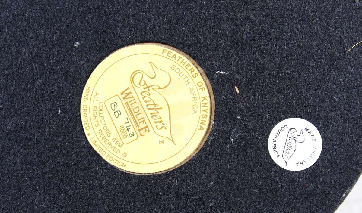 Feathers of Knysna - Baboon with baby