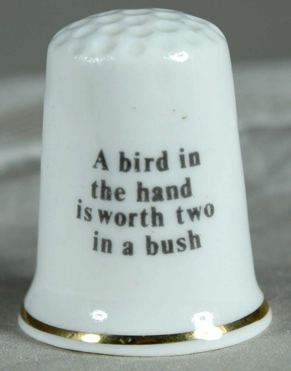 Thimble - Birchcroft - Bird in a cage