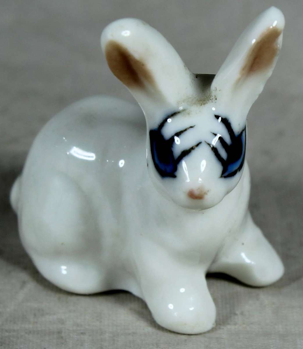 Miniature bunny with large eye lashes
