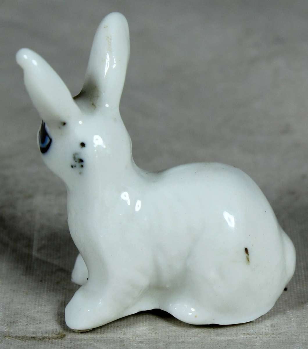 Miniature bunny with large eye lashes