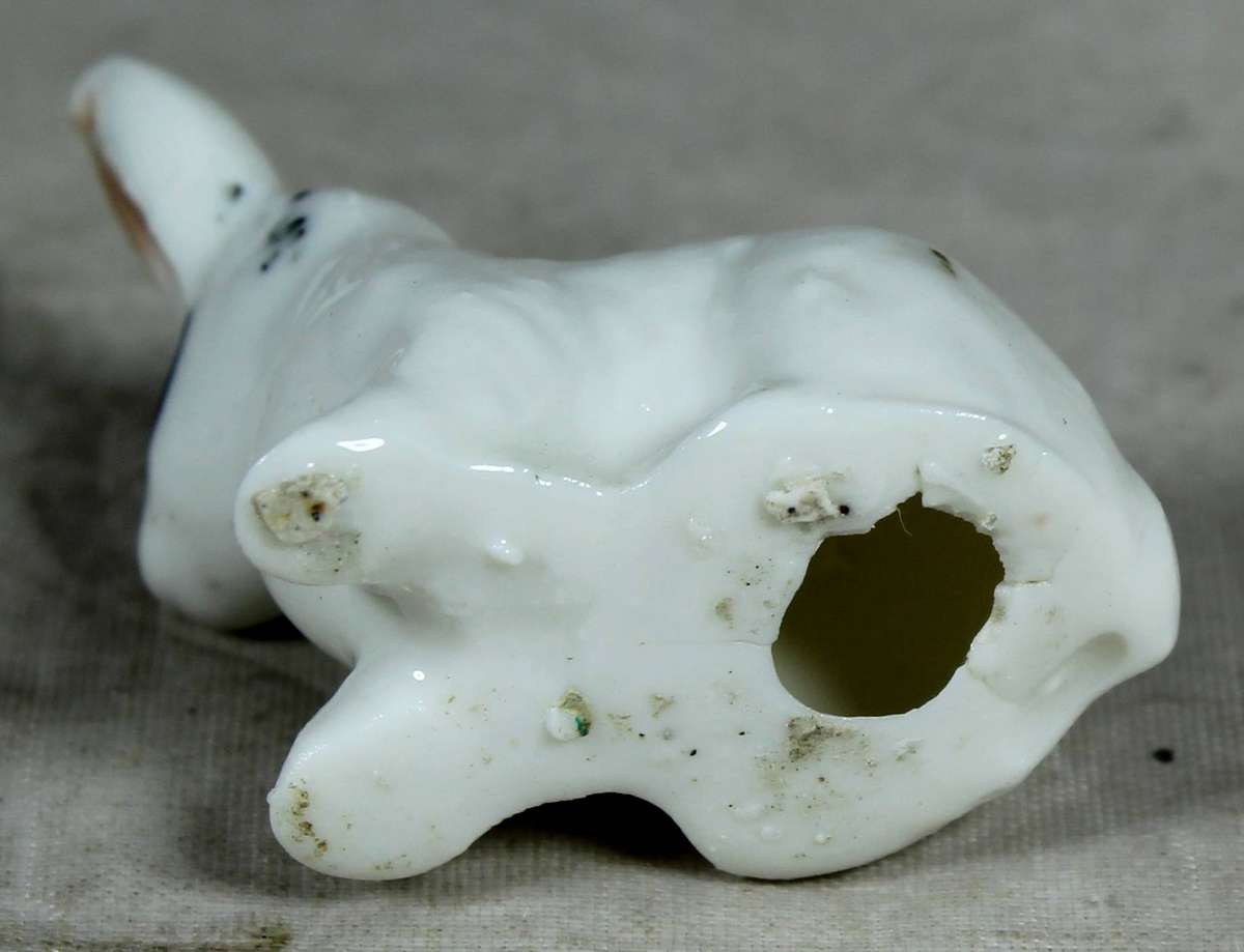 Miniature bunny with large eye lashes
