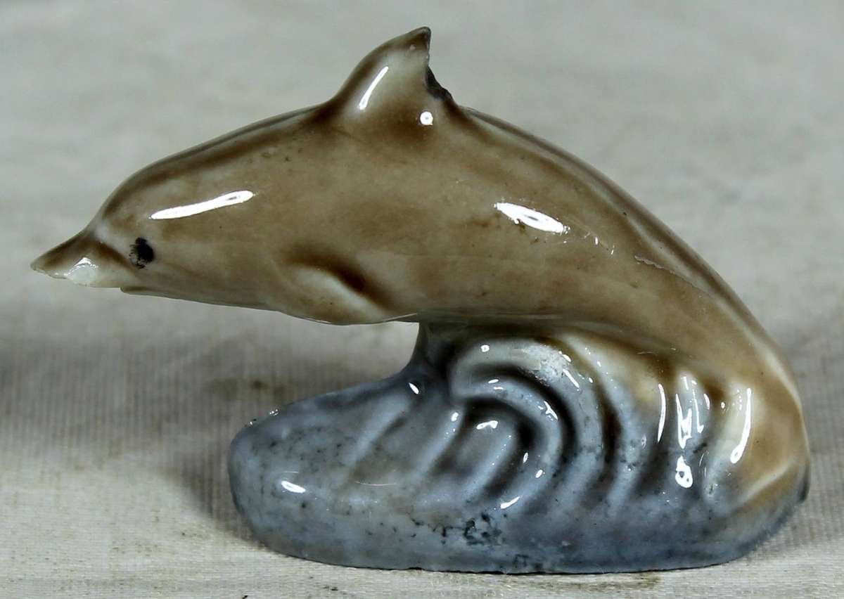 Wade - dolphin