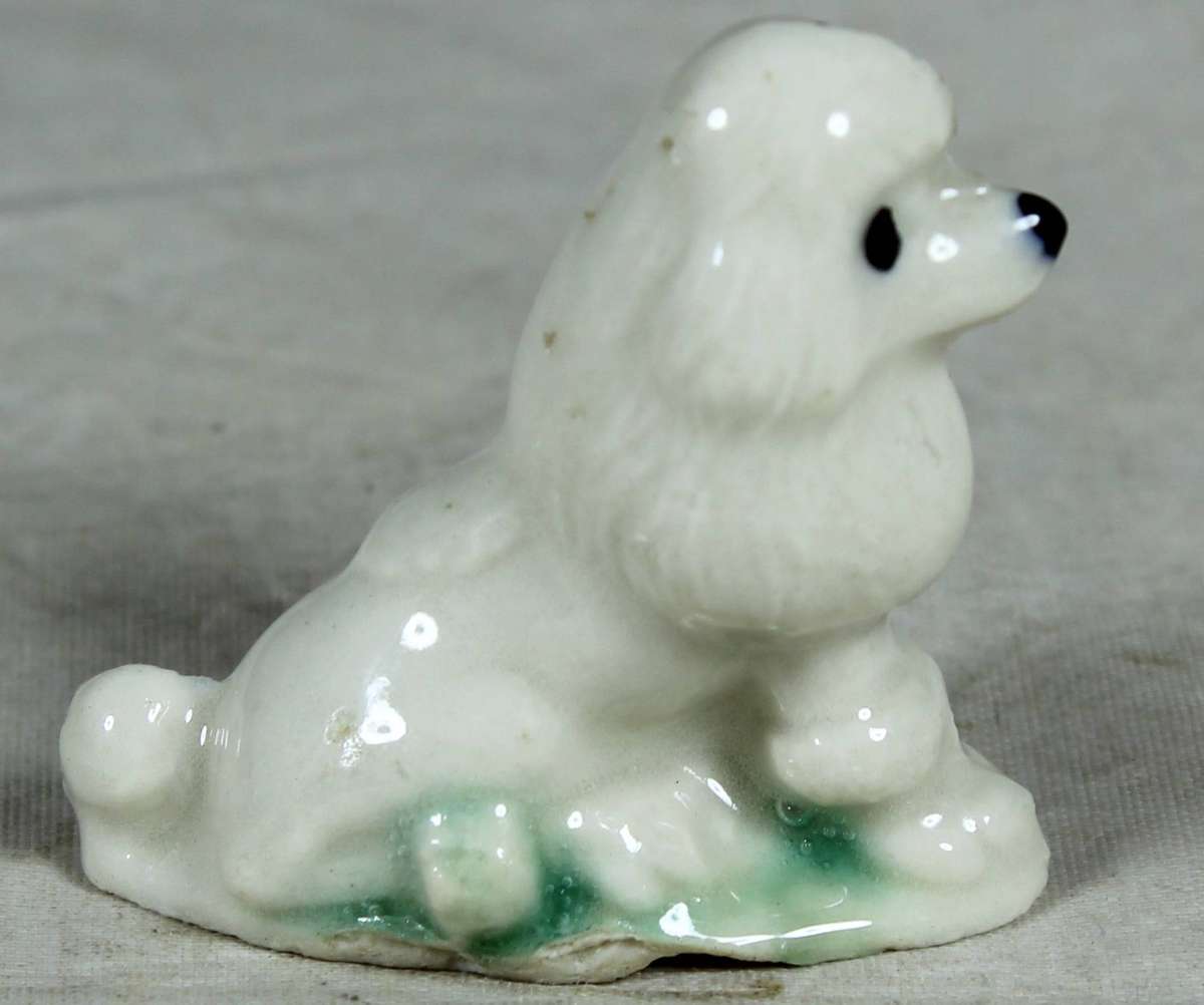 Wade - poodle