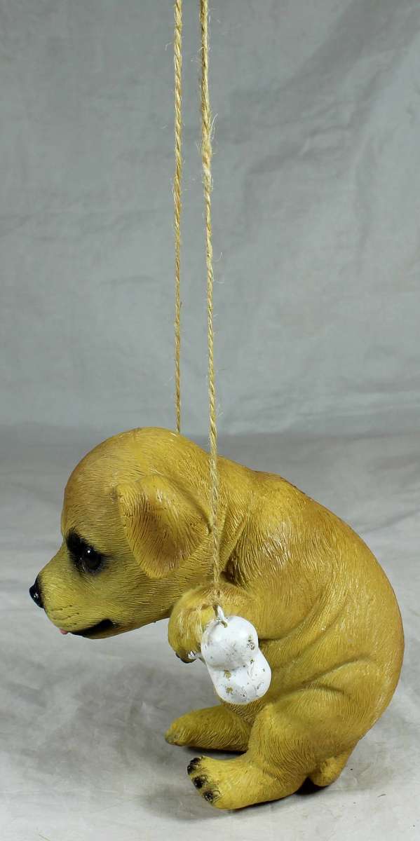 Puppy with a bone on a rope