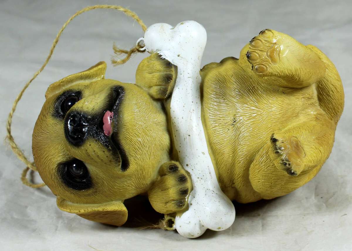 Puppy with a bone on a rope