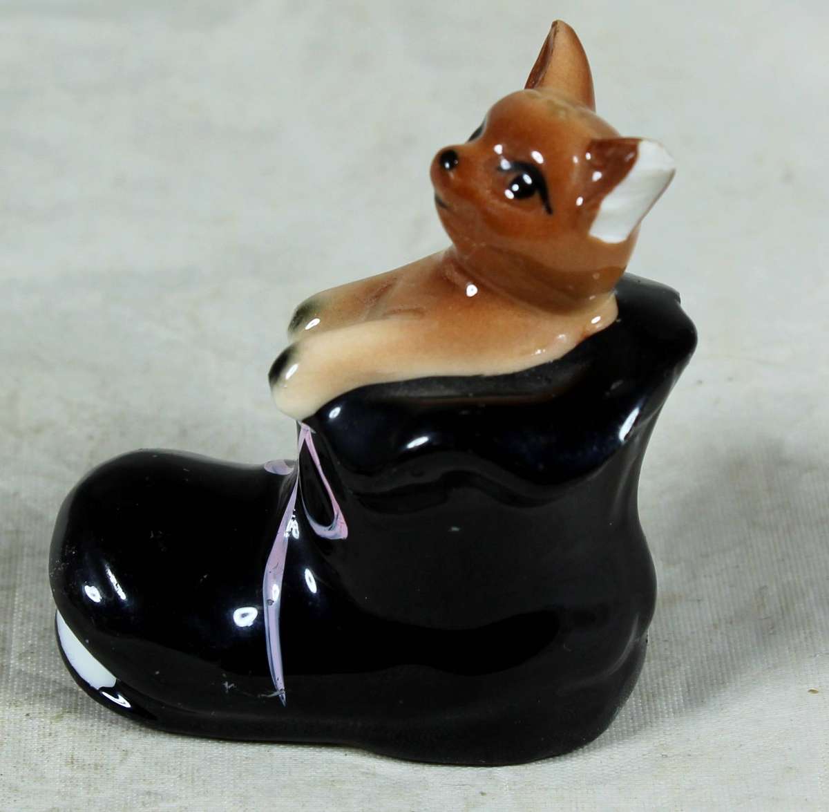 Miniature cat in a shoe