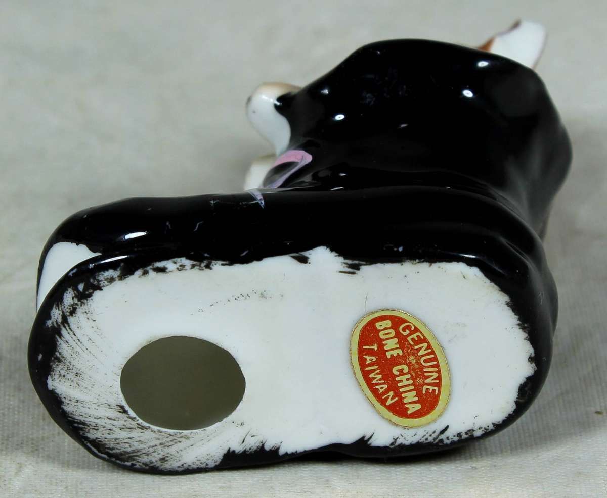 Miniature cat in a shoe