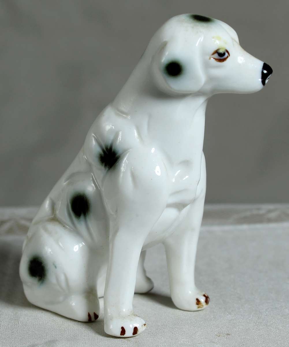 Dalmatian sitting